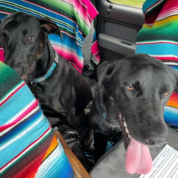 Meet your Posher, Angela - Picture 7 of 12